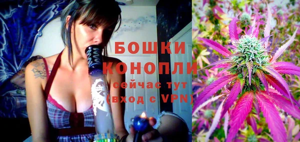 хмурый Нея