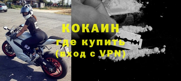 хмурый Нея